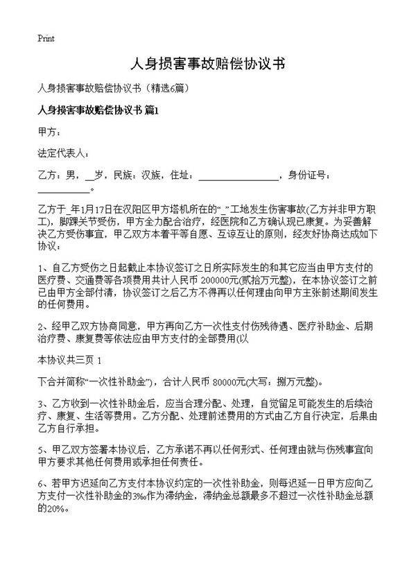 人身损害事故赔偿协议书6篇