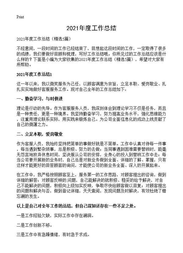 2021年度工作总结5篇