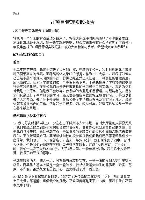 it项目管理实践报告10篇