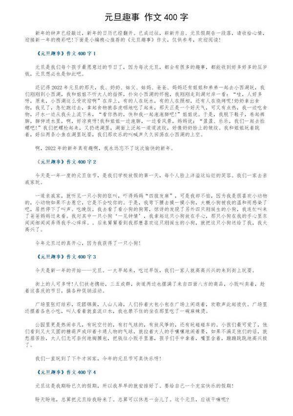 《元旦趣事》作文400字