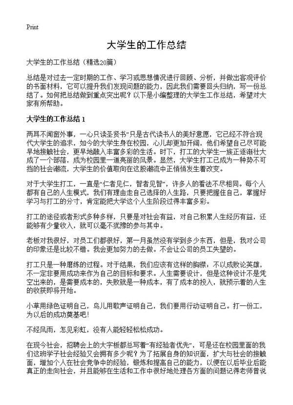大学生的工作总结20篇