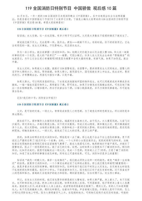 119全国消防日特别节目《中国骄傲》观后感10篇