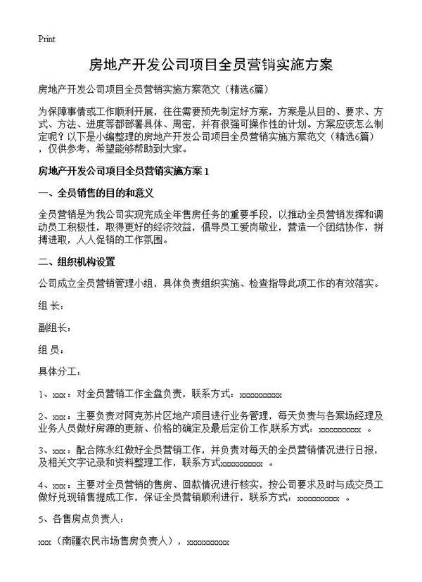 房地产开发公司项目全员营销实施方案6篇