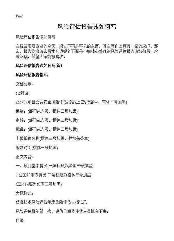 风险评估报告该如何写
