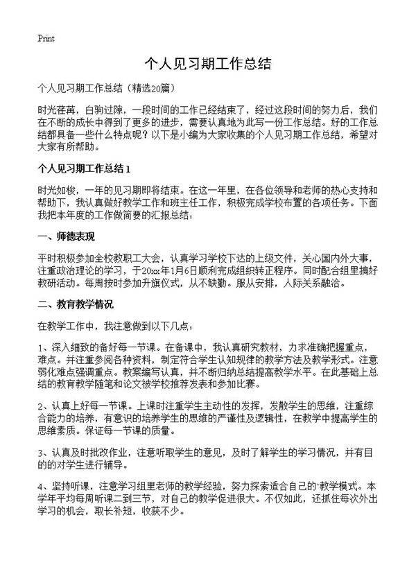 个人见习期工作总结20篇
