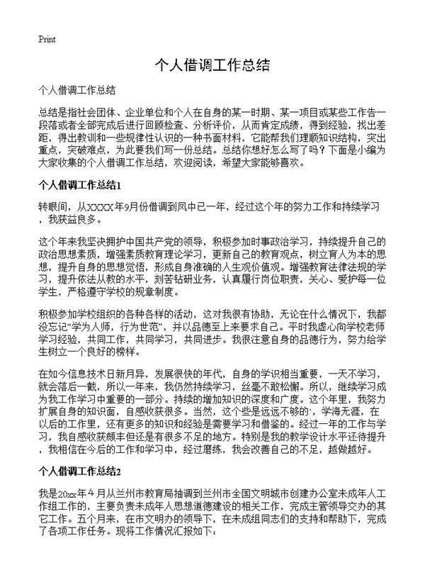 个人借调工作总结