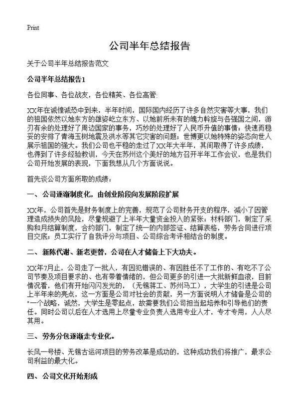 公司半年总结报告