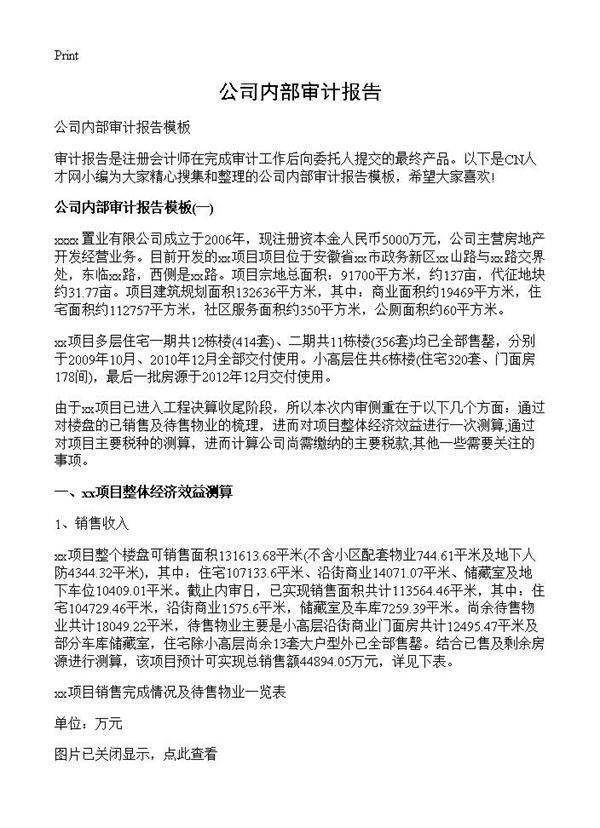 公司内部审计报告