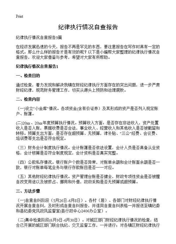 纪律执行情况自查报告