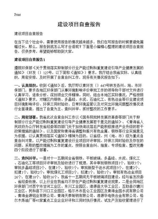 建设项目自查报告