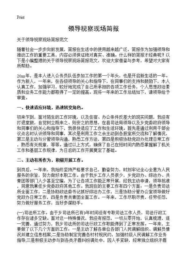 领导视察现场简报