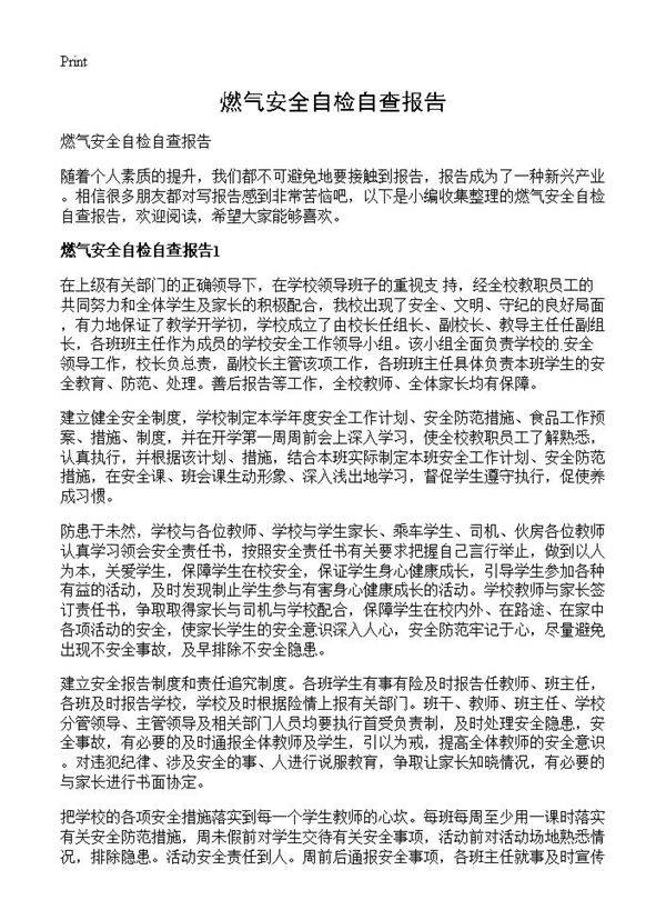 燃气安全自检自查报告