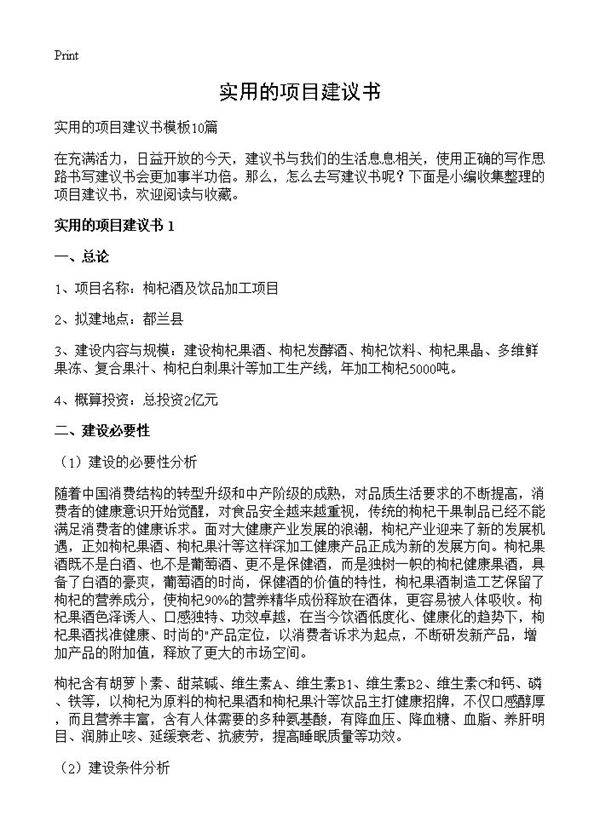 实用的项目建议书