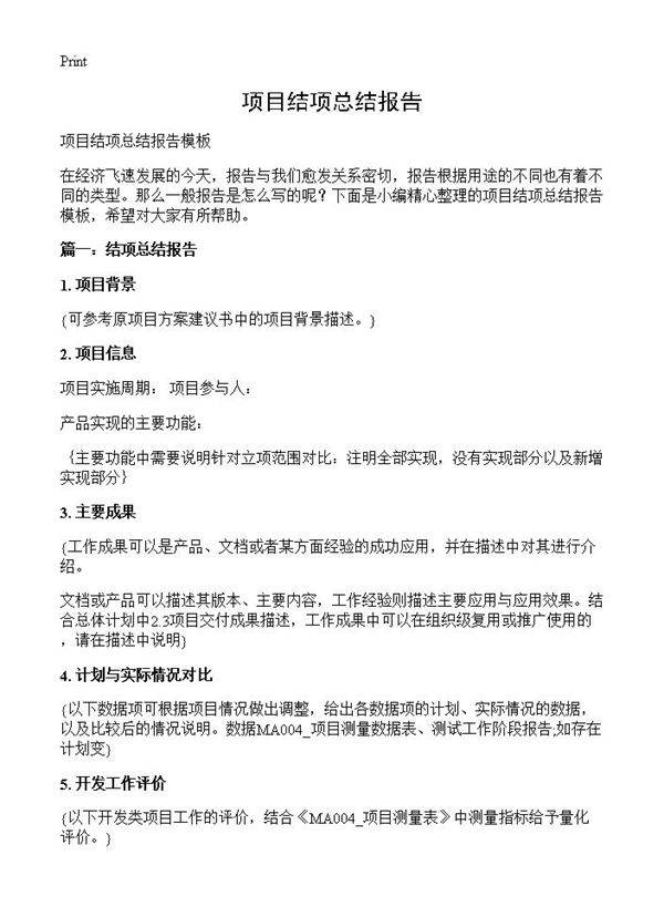 项目结项总结报告