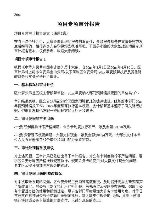 项目专项审计报告9篇