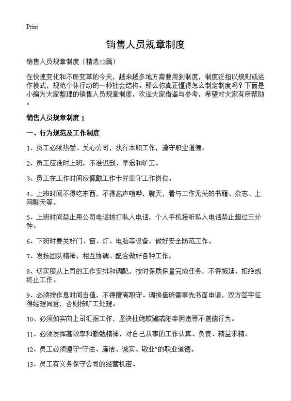 销售人员规章制度12篇