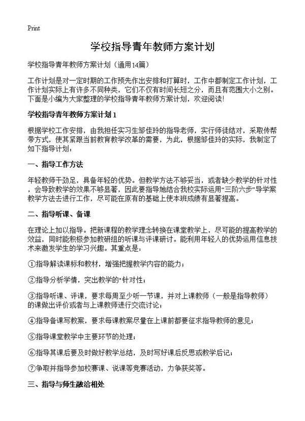 学校指导青年教师方案计划14篇