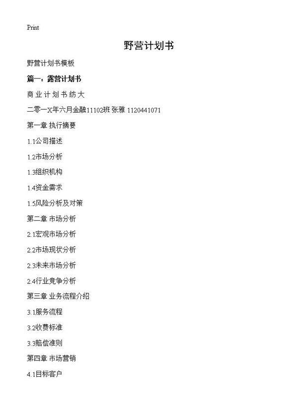野营计划书