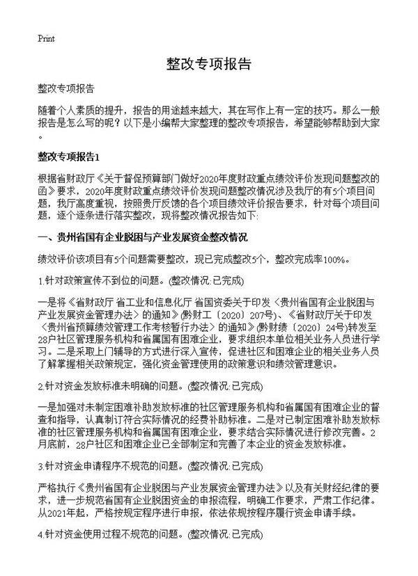 整改专项报告