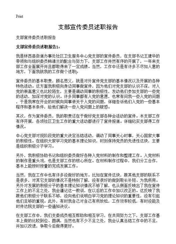 支部宣传委员述职报告