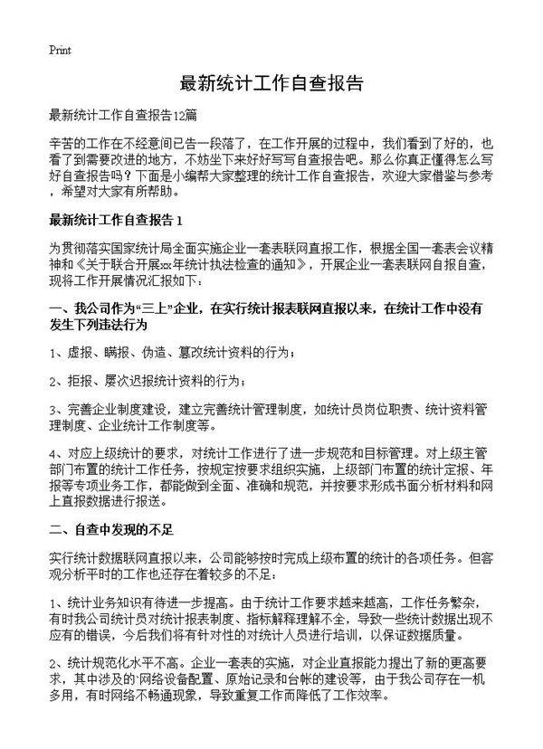 最新统计工作自查报告