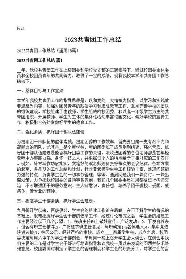 2023共青团工作总结