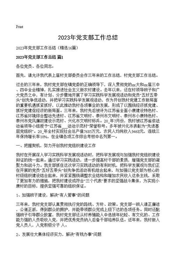 2023年党支部工作总结