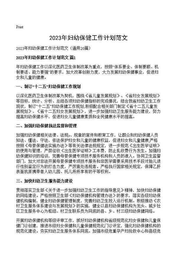 2023年妇幼保健工作计划范文