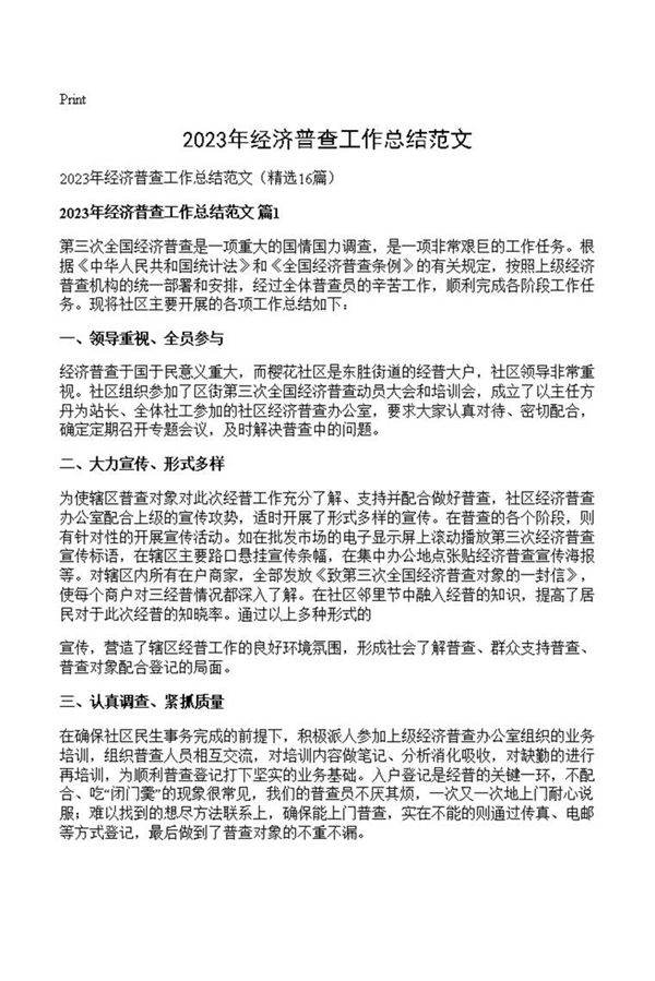 2023年经济普查工作总结范文