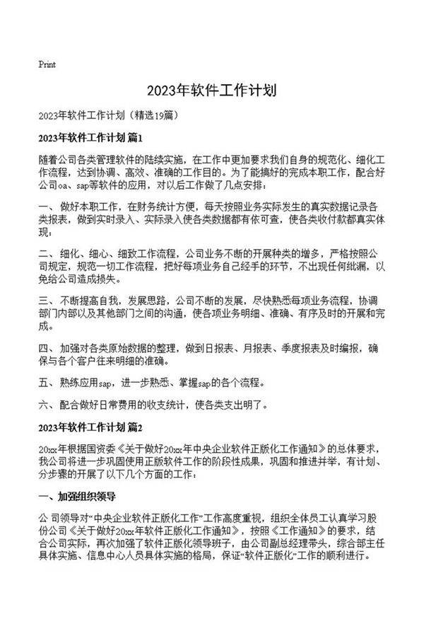 2023年软件工作计划