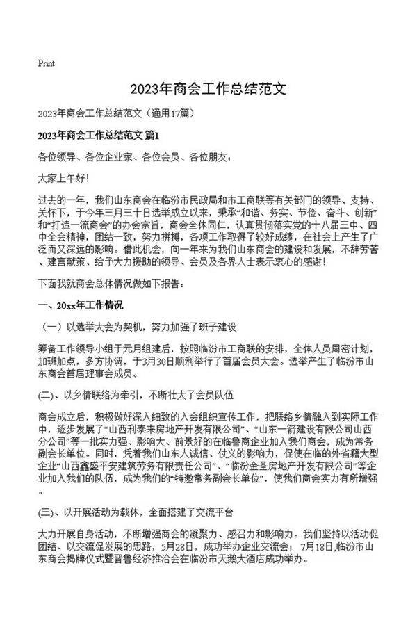 2023年商会工作总结范文