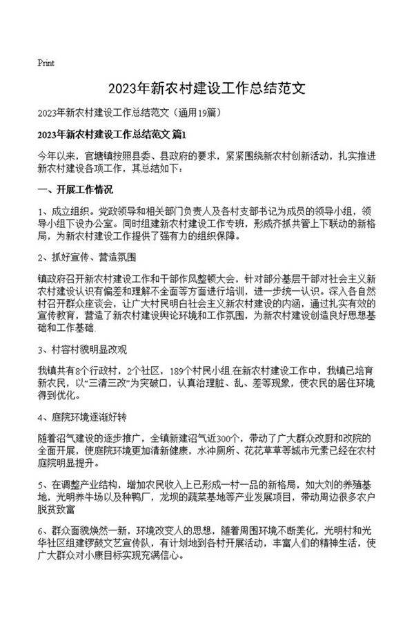 2023年新农村建设工作总结范文