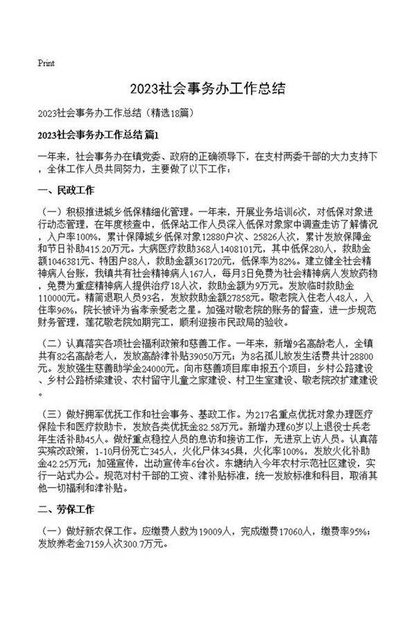 2023社会事务办工作总结