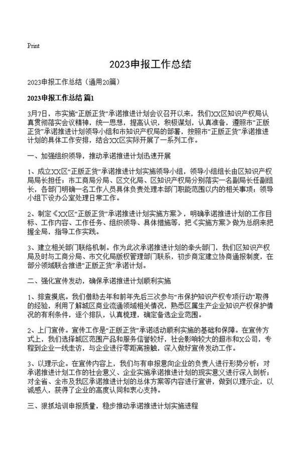 2023申报工作总结