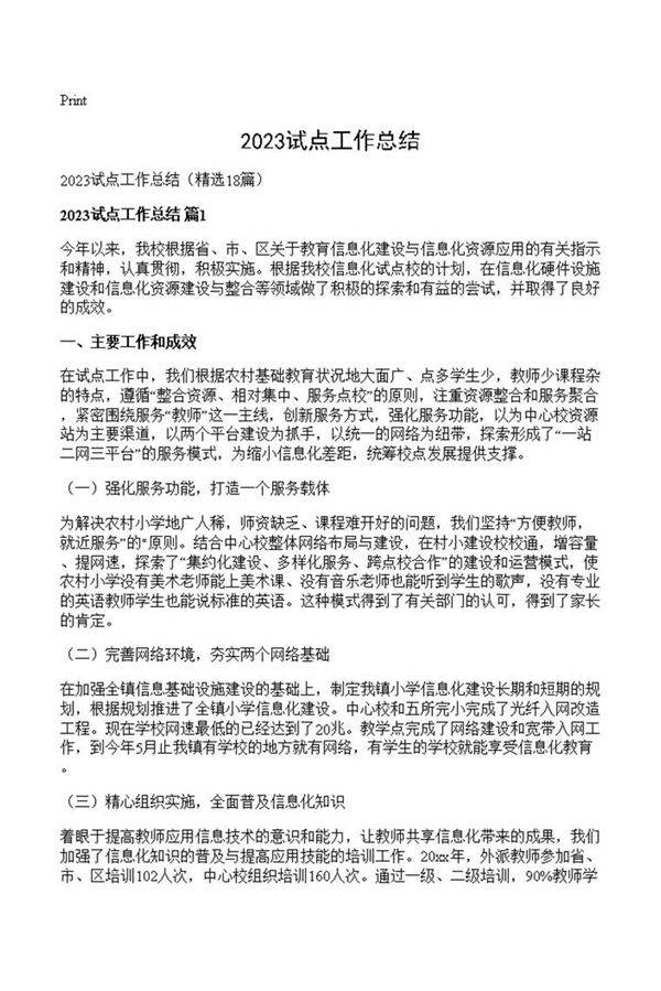 2023试点工作总结