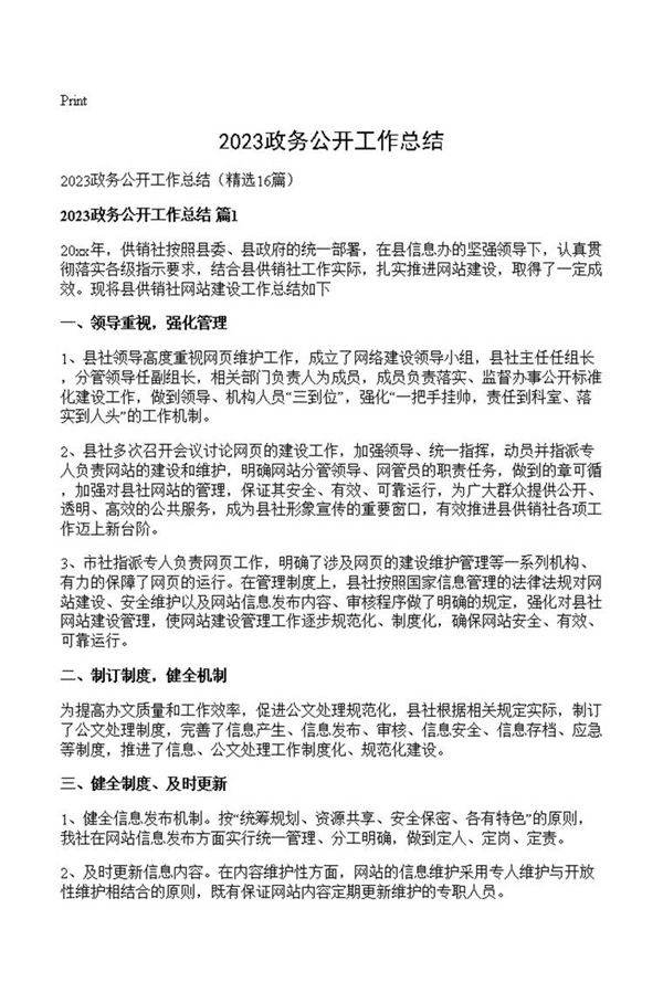 2023政务公开工作总结