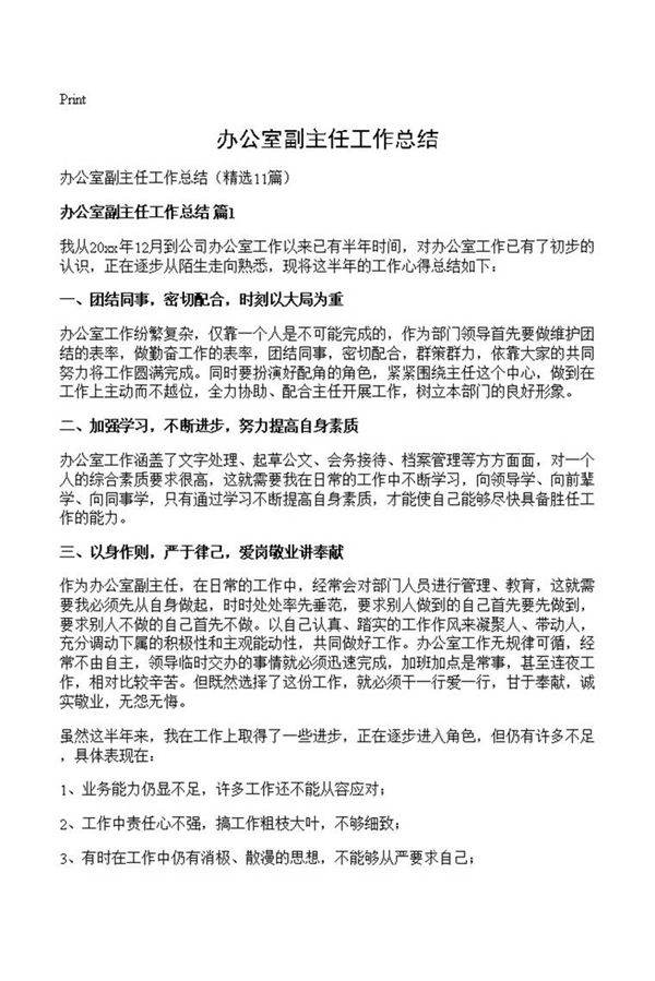 办公室副主任工作总结
