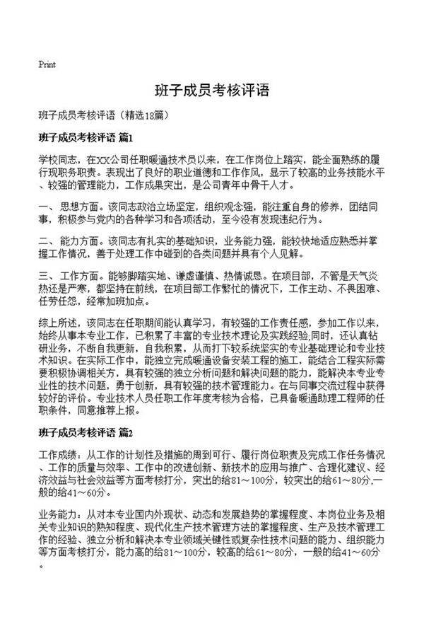 班子成员考核评语