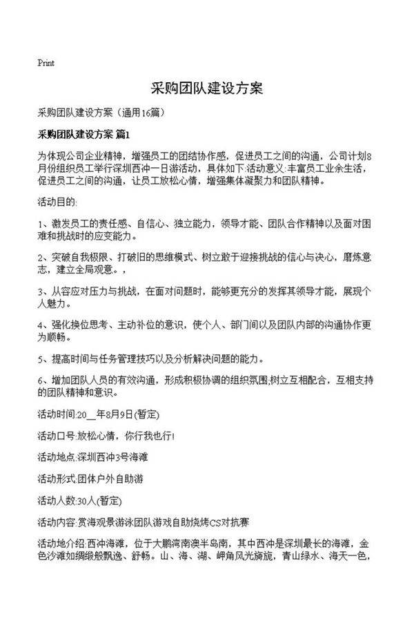 采购团队建设方案