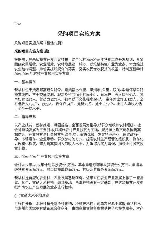 采购项目实施方案