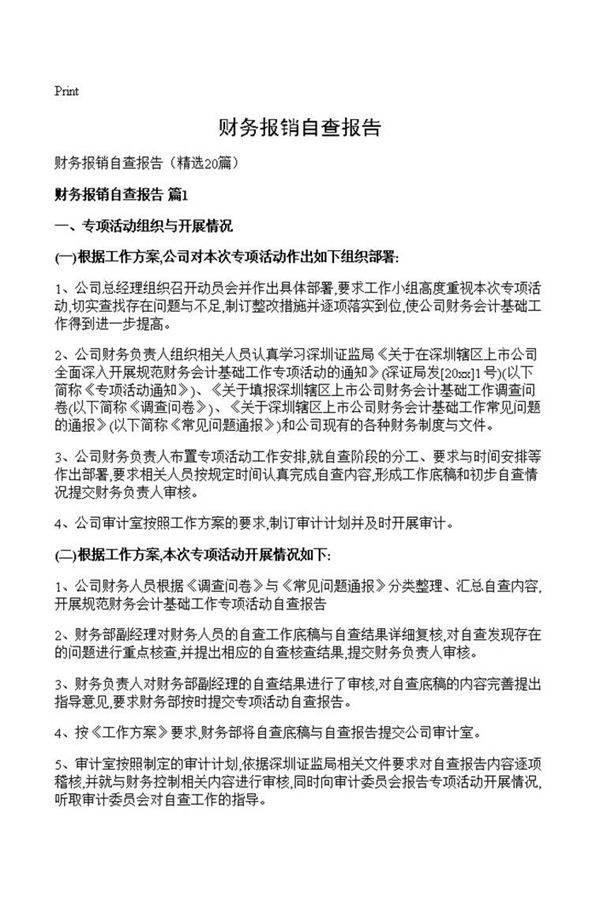 财务报销自查报告