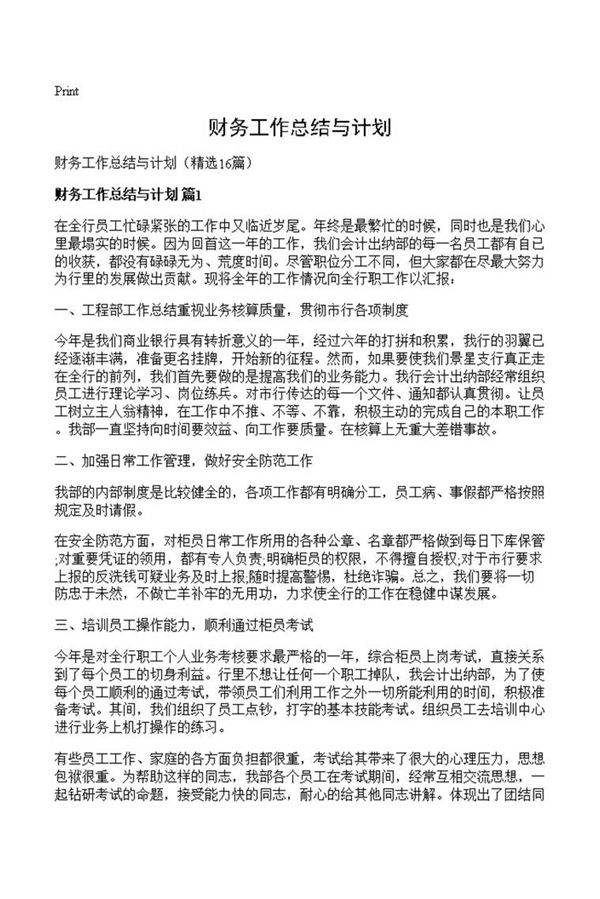 财务工作总结与计划