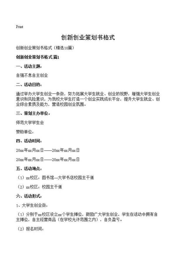 创新创业策划书格式