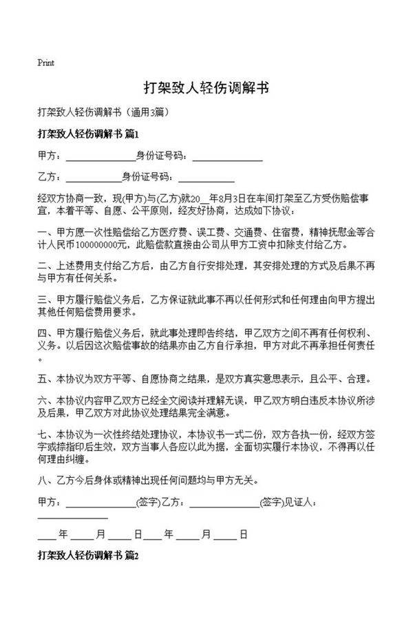 打架致人轻伤调解书