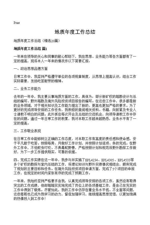 地质年度工作总结