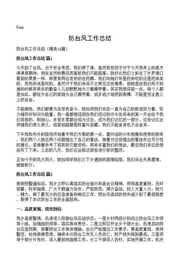 防台风工作总结