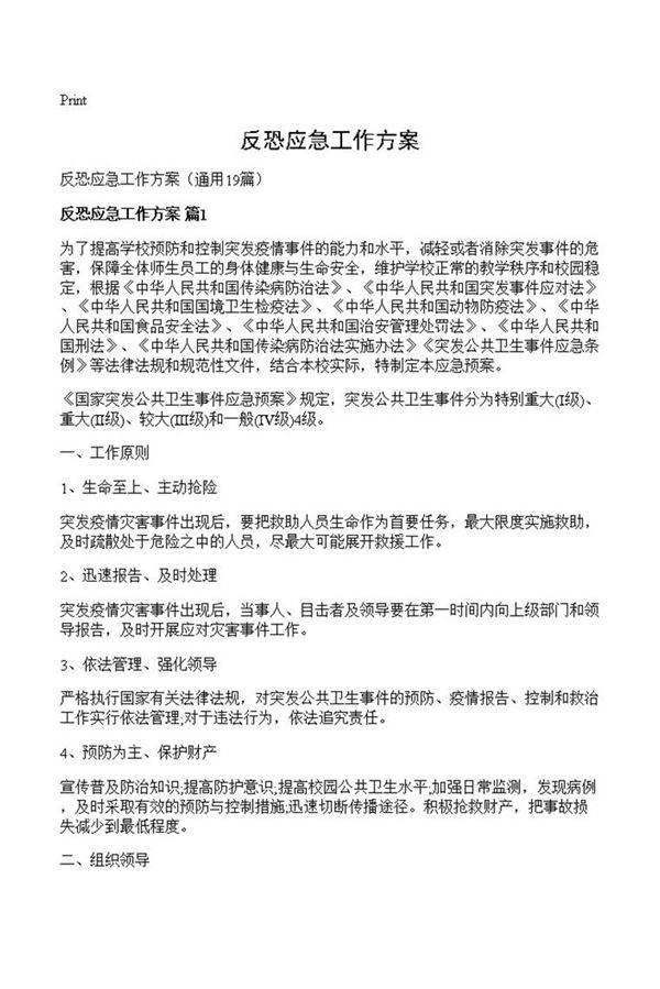反恐应急工作方案