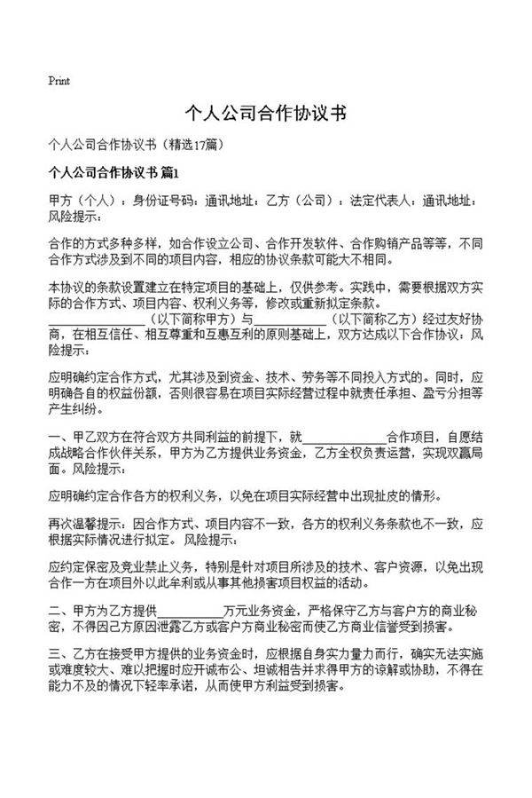 个人公司合作协议书