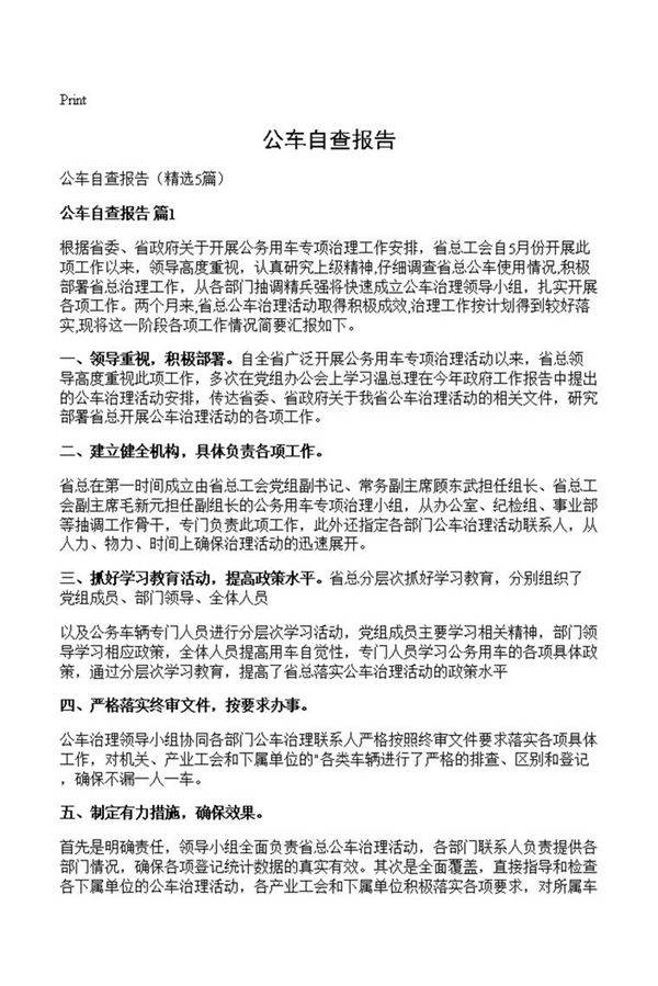 公车自查报告