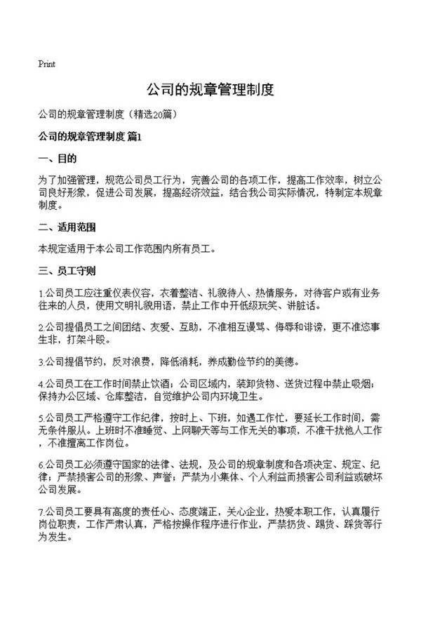 公司的规章管理制度
